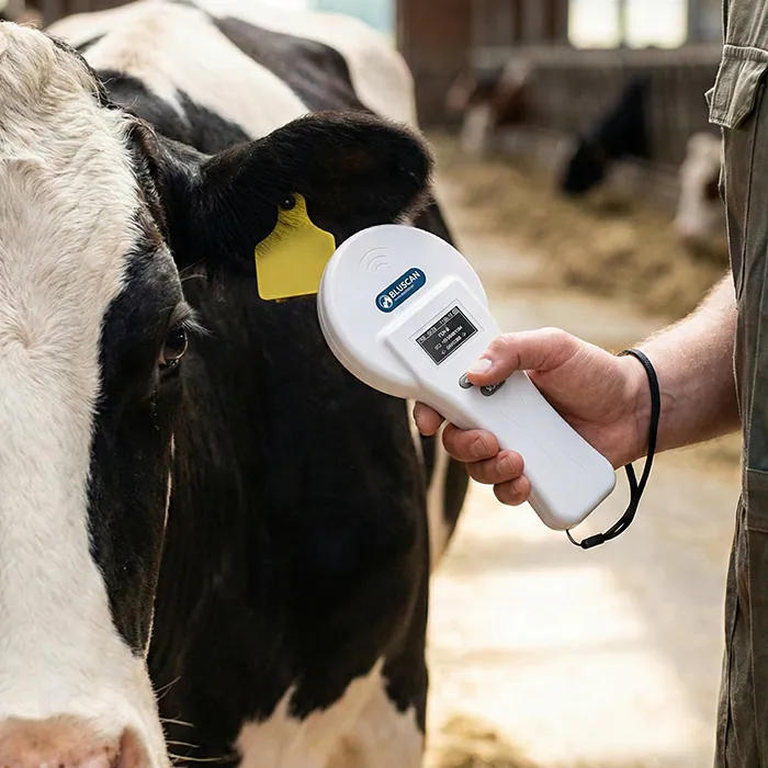Scanning cattle ear tag with Bluscan X350 reader
