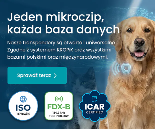 Jeden mikroczip, każda baza danych